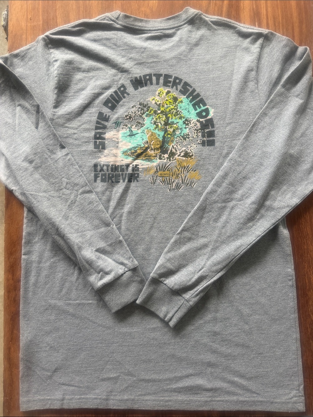 Patagonia Grey Long Sleeve Graphic Tee - "Save Our Watershed"